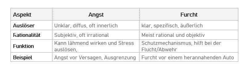 Zuordnung, Kategorisierung